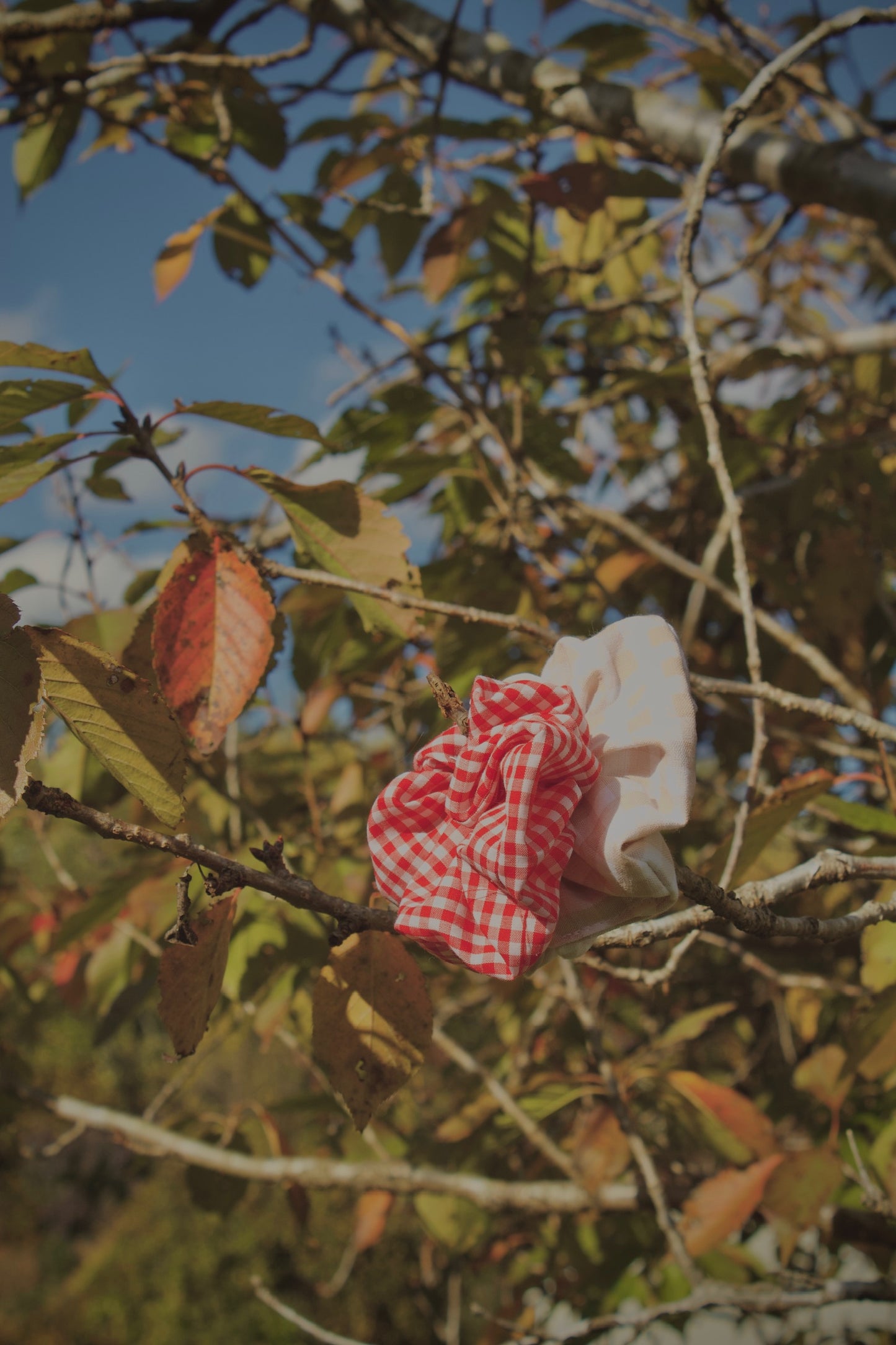 Gingham Scrunchies