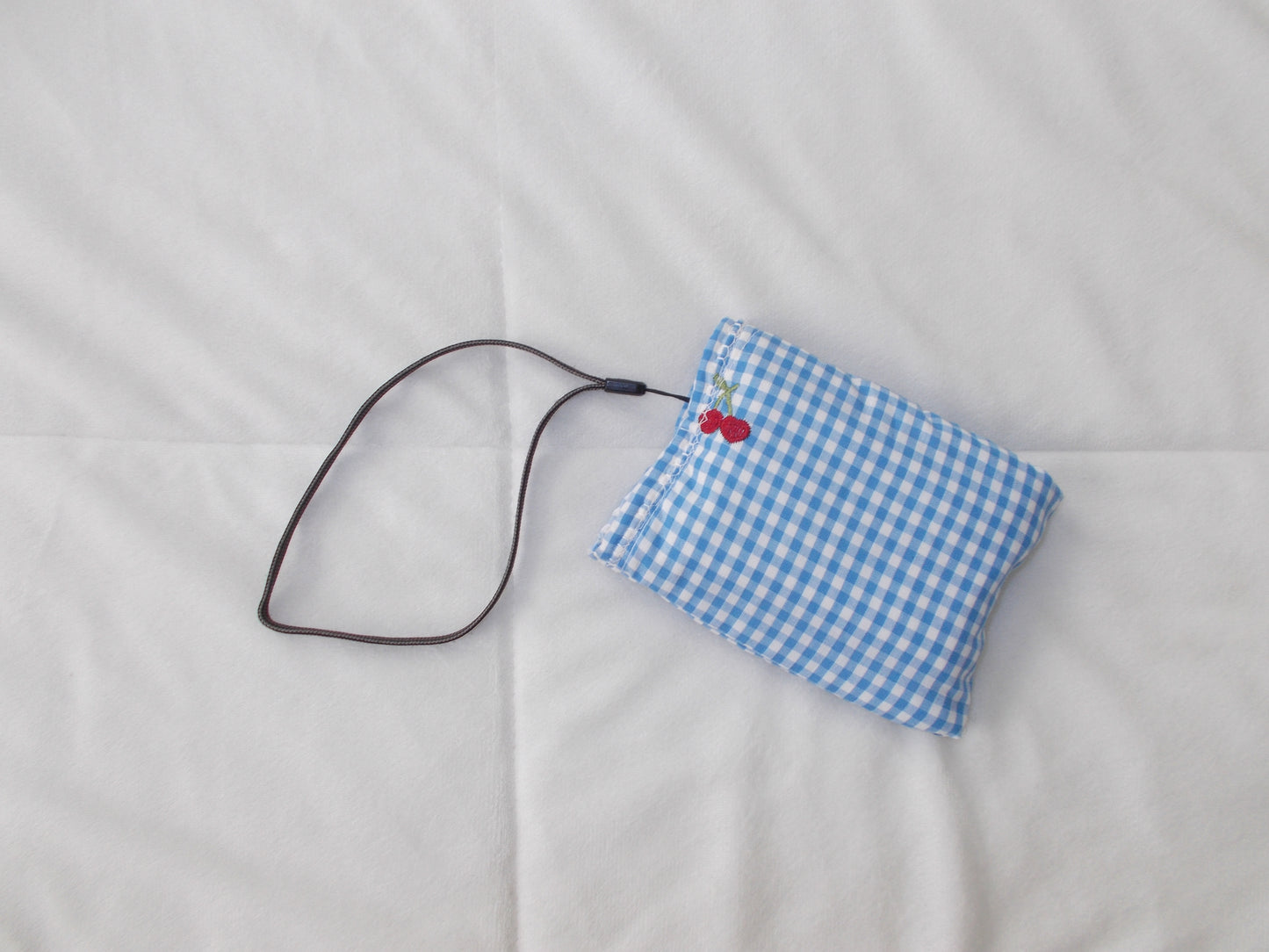 Cherry Blue Gingham Digital Camera Case